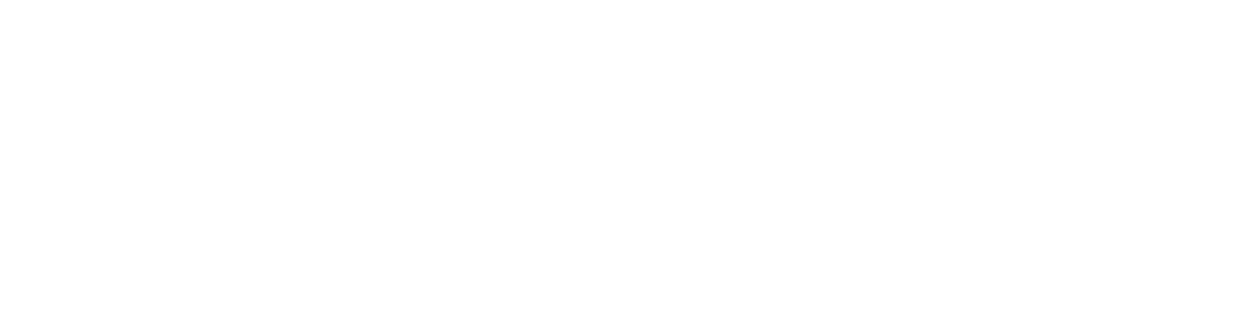Edllusion Entertainment | Magic & Illusion Shows for Corporate and Social Events | Ontario